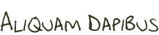 Aliquam Dapibus